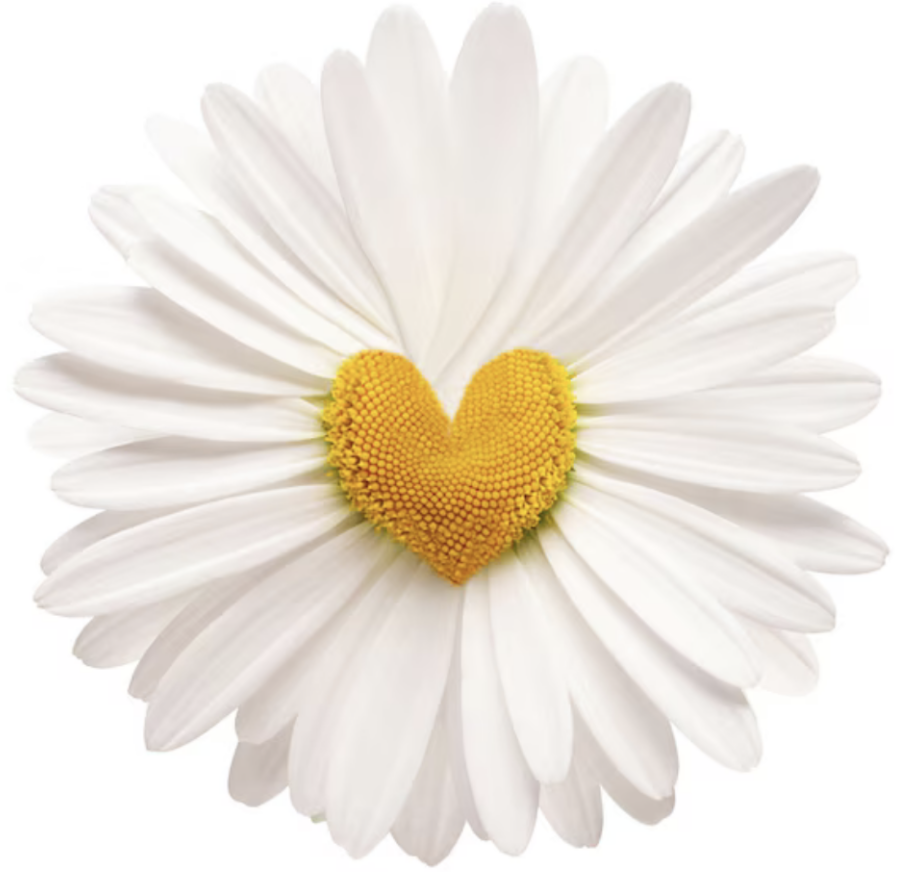 capture d’écran 2025 12 21 à 13.11.17