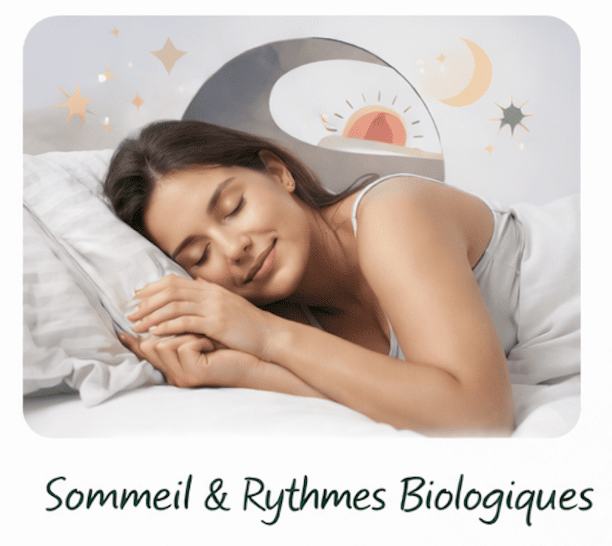 Sommeil et rythme biologique