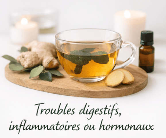 Image représentant les troubles digestifs, inflammatoires et hormonaux